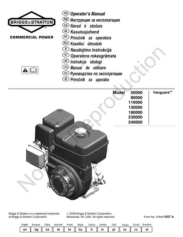 Mode d'emploi BRIGGS & STRATTON 138400